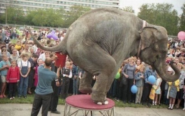 4 Pekerjaan Nggak Banget Ini Bikin Kamu Bersyukur Sama Kerjaanmu Sekarang